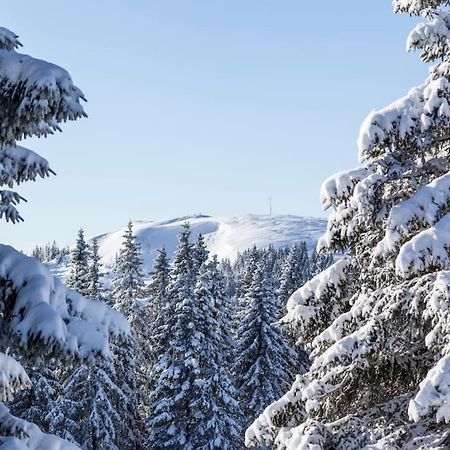 Waldtwin 2 Titisee Ngoại thất bức ảnh