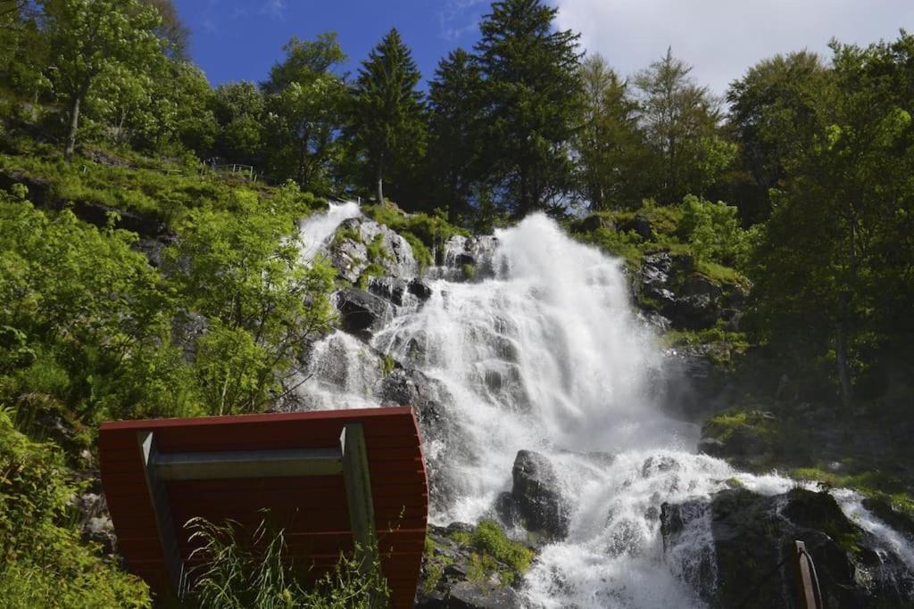 Waldtwin 2 Titisee Ngoại thất bức ảnh