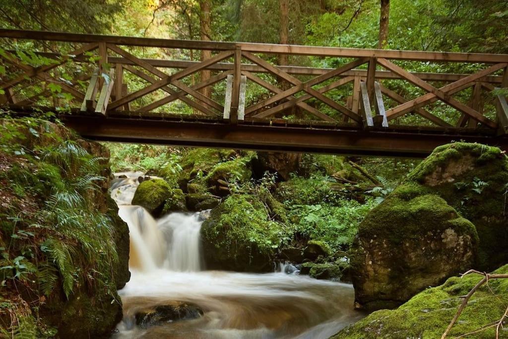 Waldtwin 2 Titisee Ngoại thất bức ảnh
