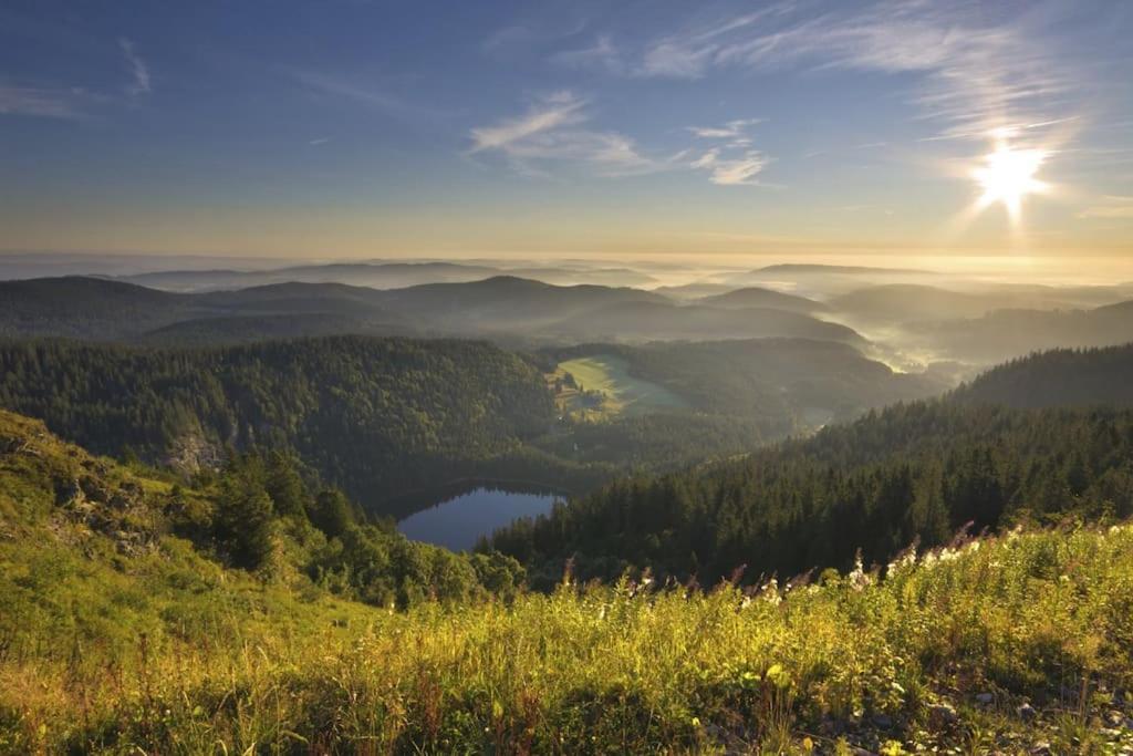 Waldtwin 2 Titisee Ngoại thất bức ảnh