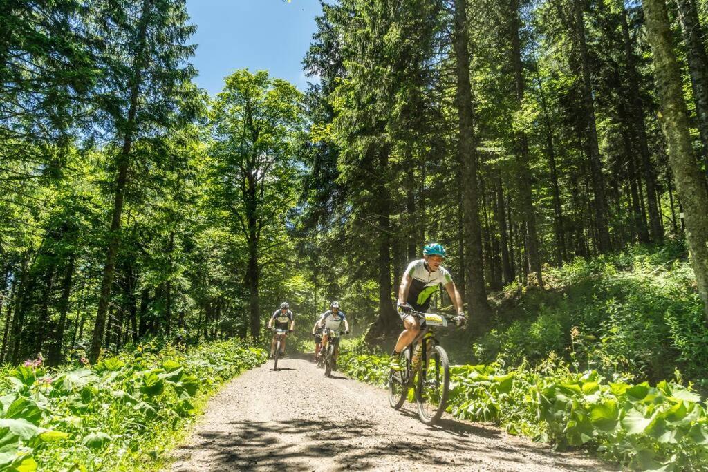Waldtwin 2 Titisee Ngoại thất bức ảnh